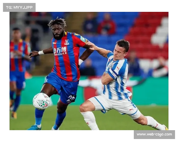 水晶宫vs狼队：塞尔赫斯特公园球场座无虚席